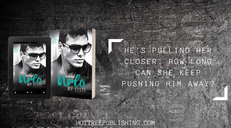 Blog Tour The Bully by Sophie Lark Caitlin's World