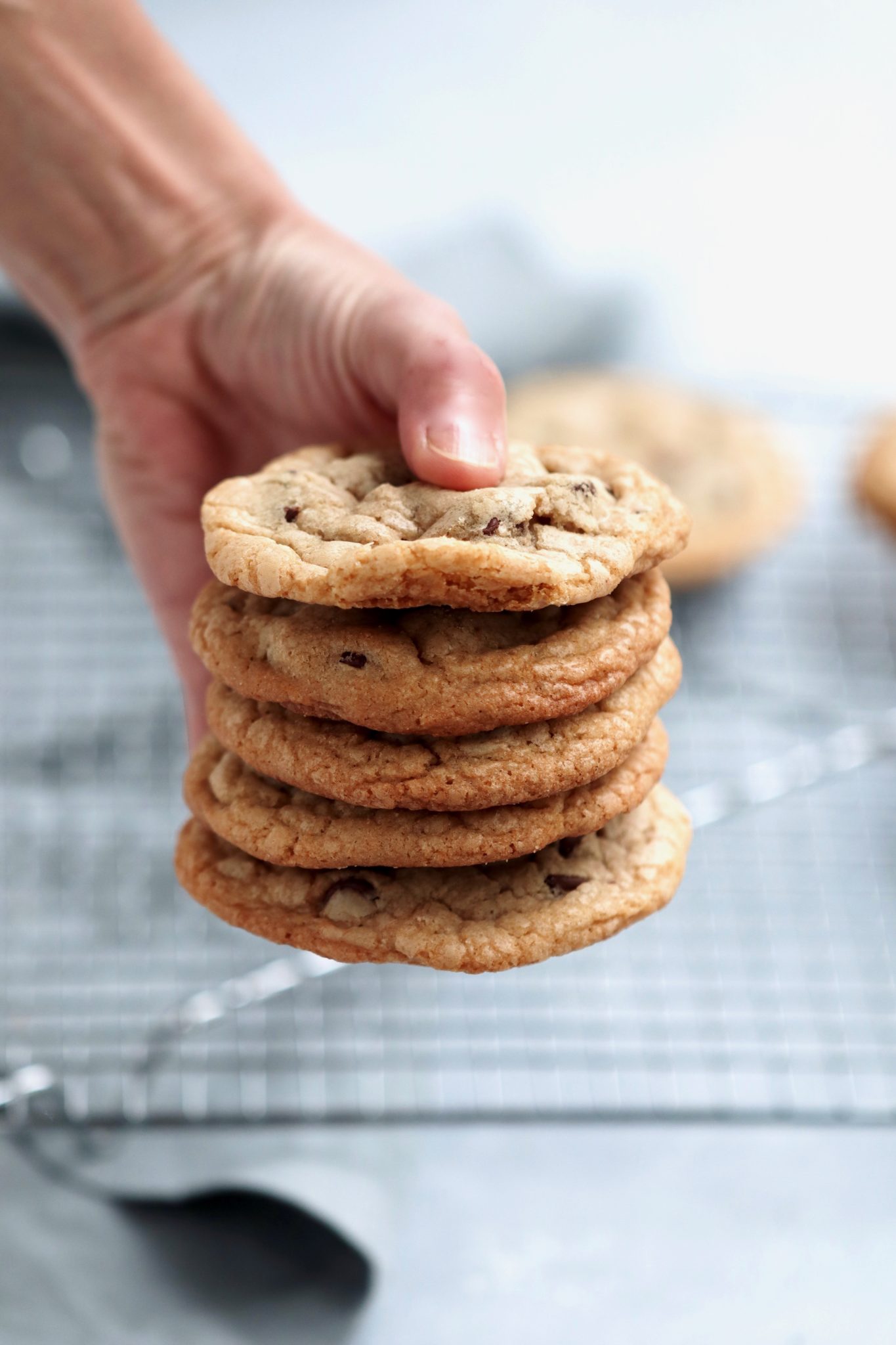 cook's illustrated ultimate chocolate chip cookies (aka my favorite chocolate chip cookie