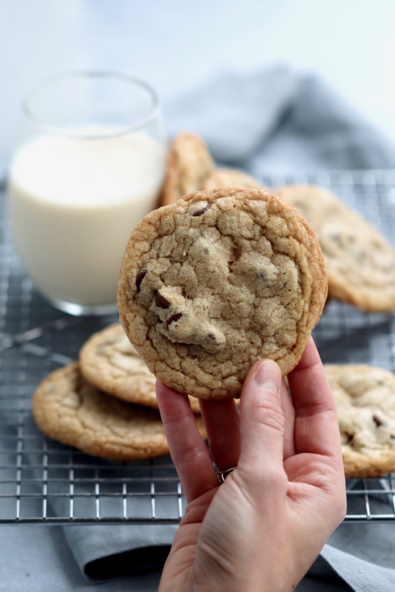 cook's illustrated ultimate chocolate chip cookies (aka my favorite