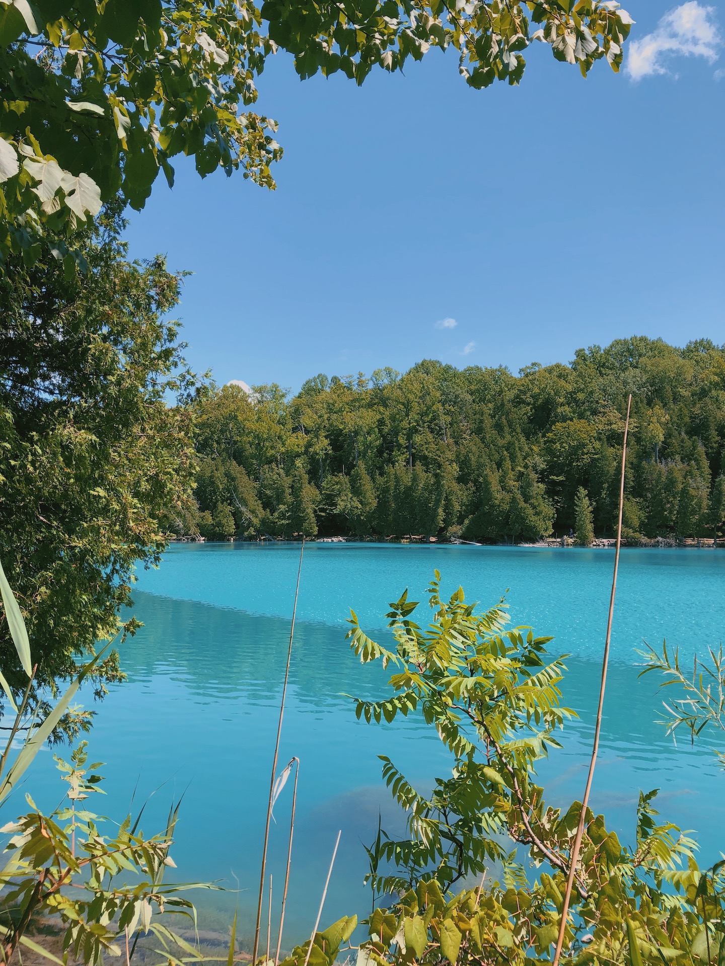 Green Lakes State Park The Pamplemousse Papers