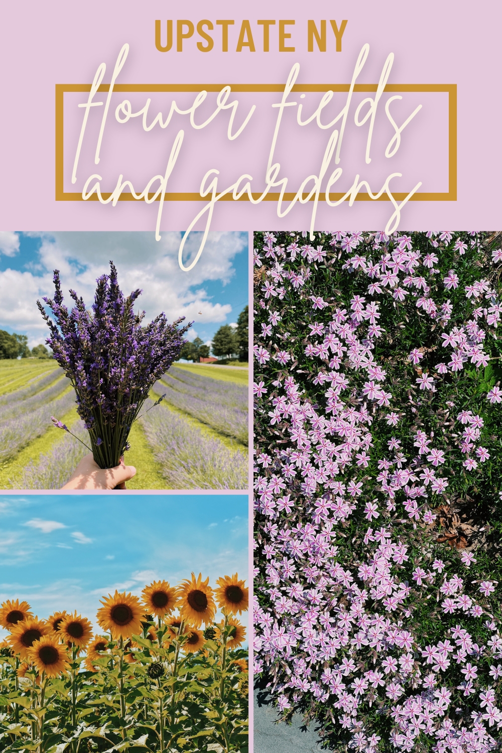 Best Flowers For Upstate Ny Best Flower Site