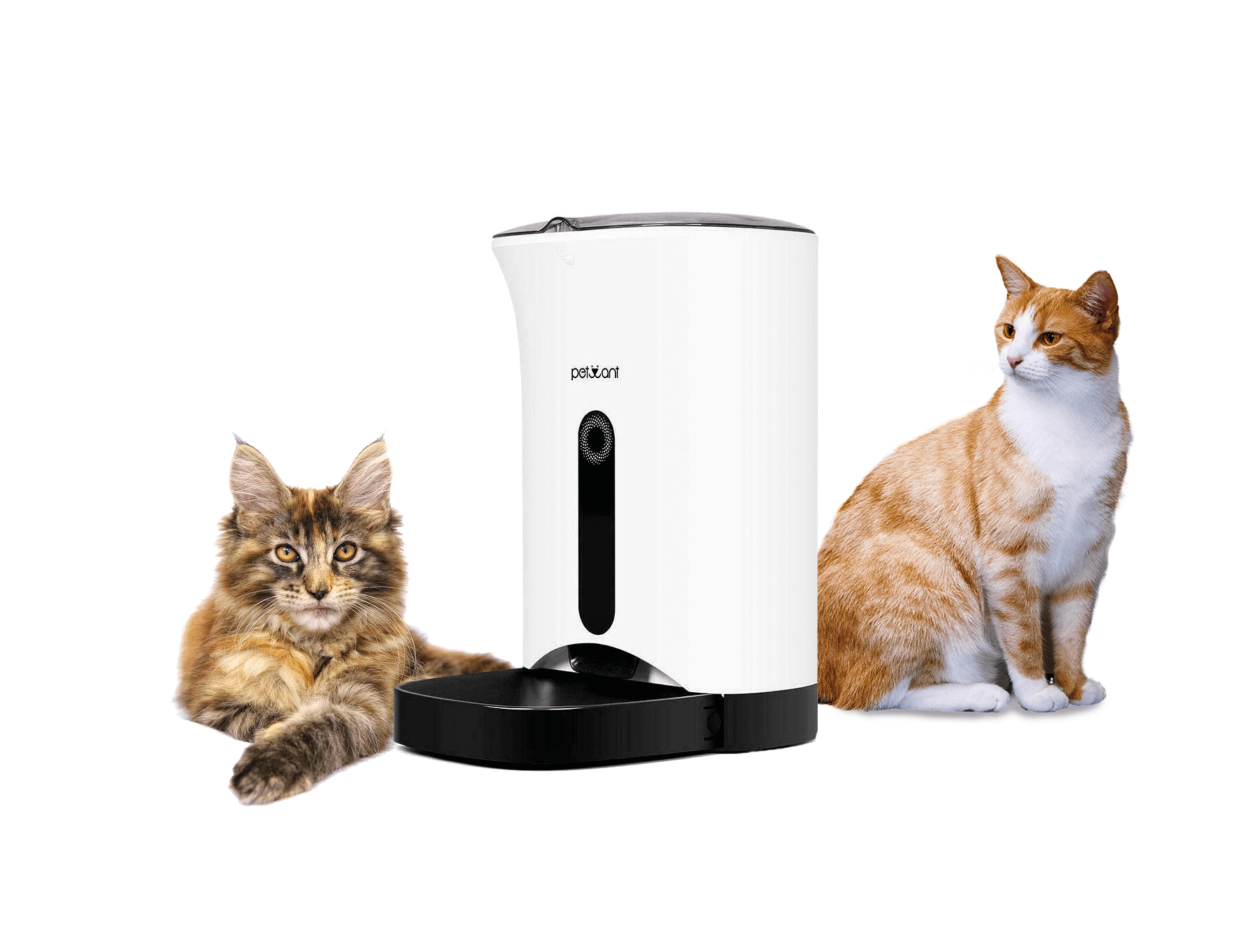 Automatischer Futterautomat für Katzen und Hunde mit Timer CAIVEN.de