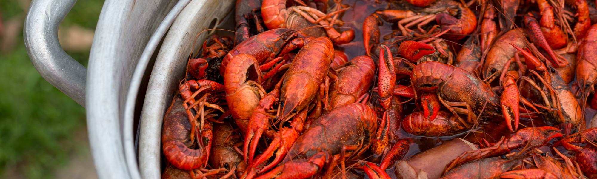 Where To Buy Crawfish In Fort Smith Arkansas at Tracey Root blog
