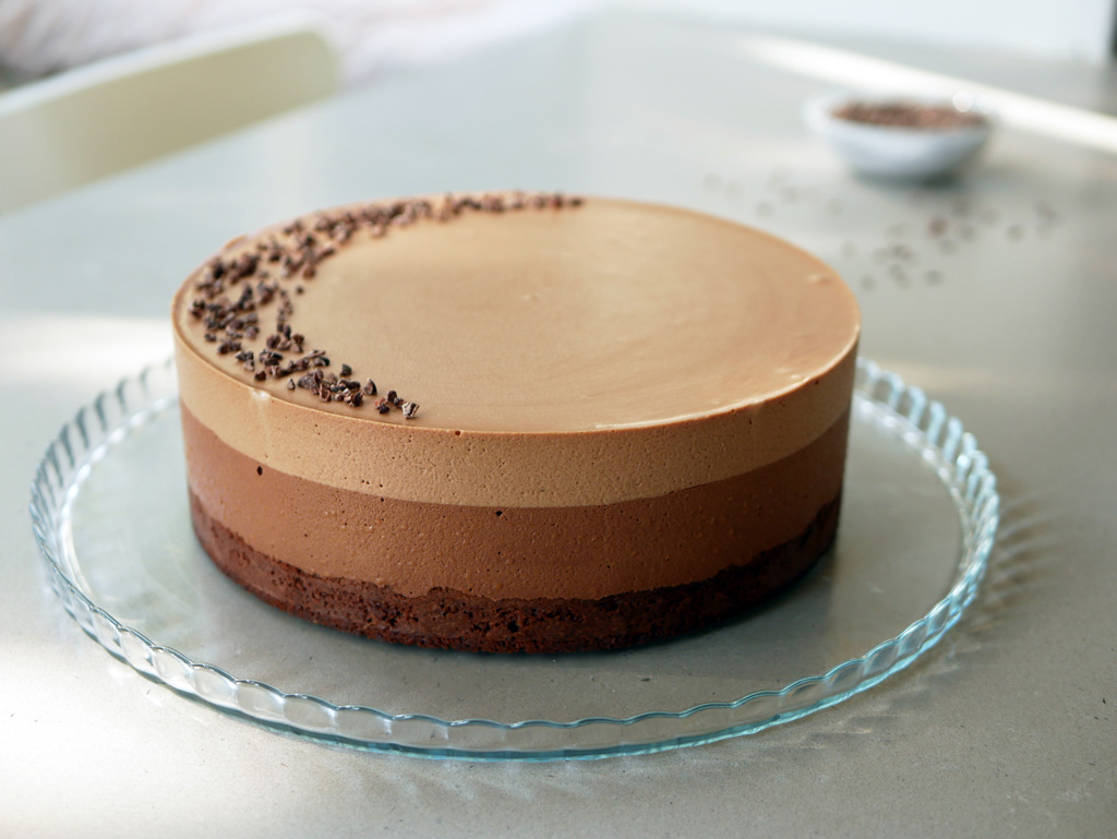 Coffee Gianduja Chocolate Mousse Cake Cake Lab