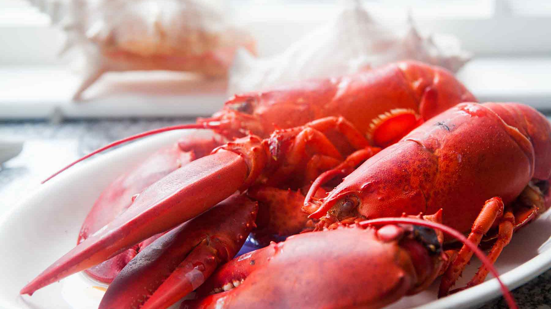 How Long To Cook Live Lobster Cake Baking