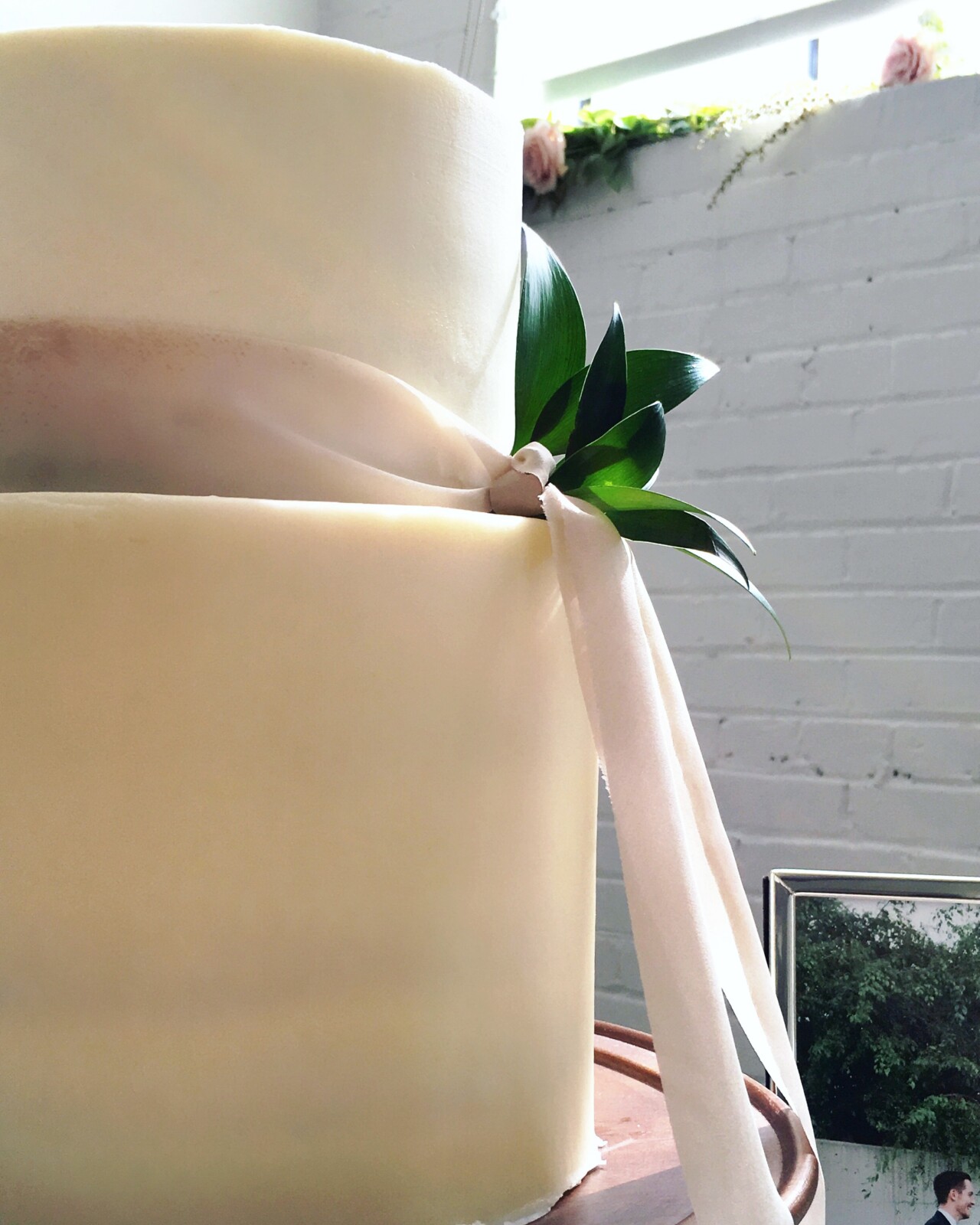 How To Use The CakeSafe Cake by Courtney