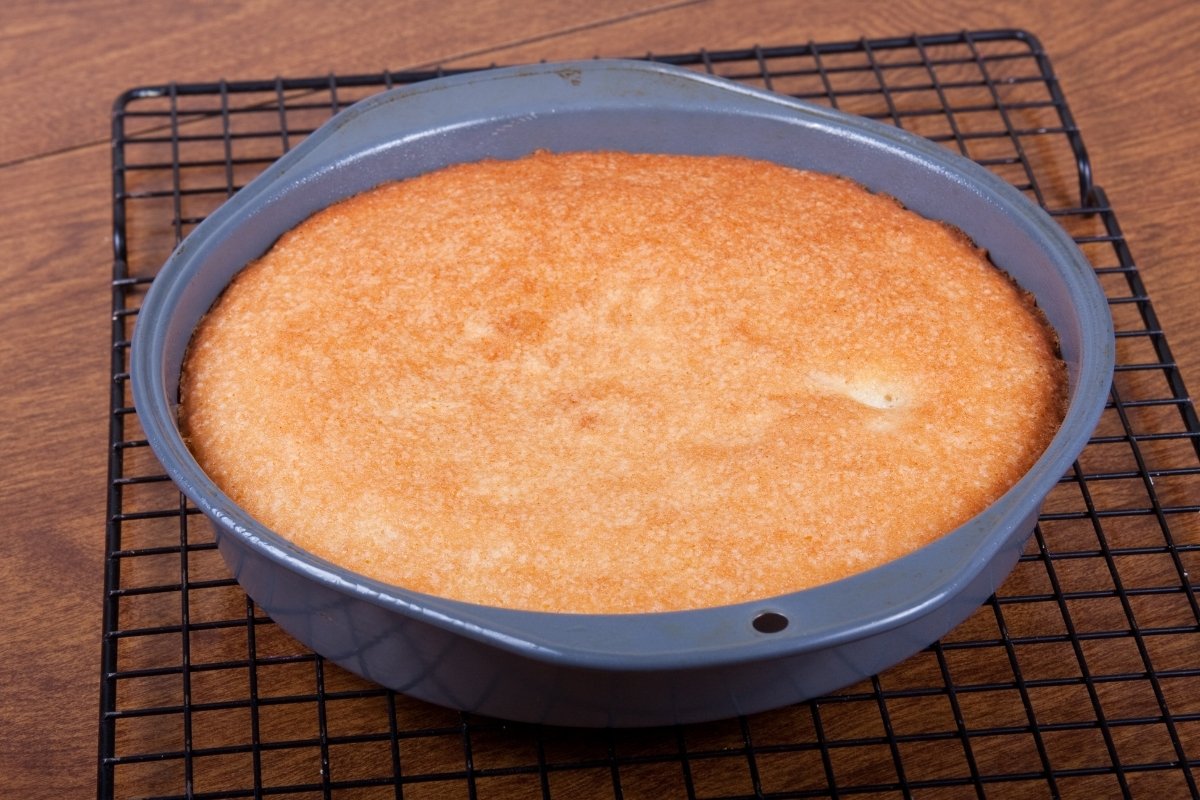 How To Bake A Cake Evenly Cake Decorist