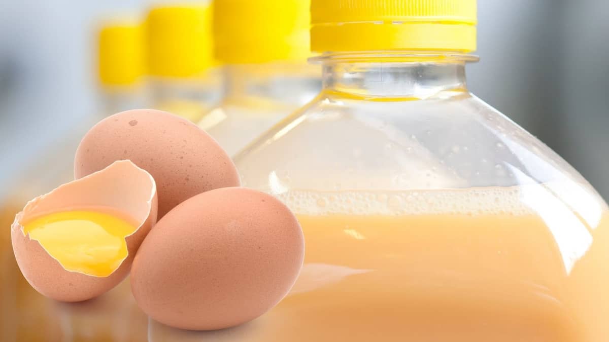 Liquid Eggs Vs Real Eggs What's The Difference?