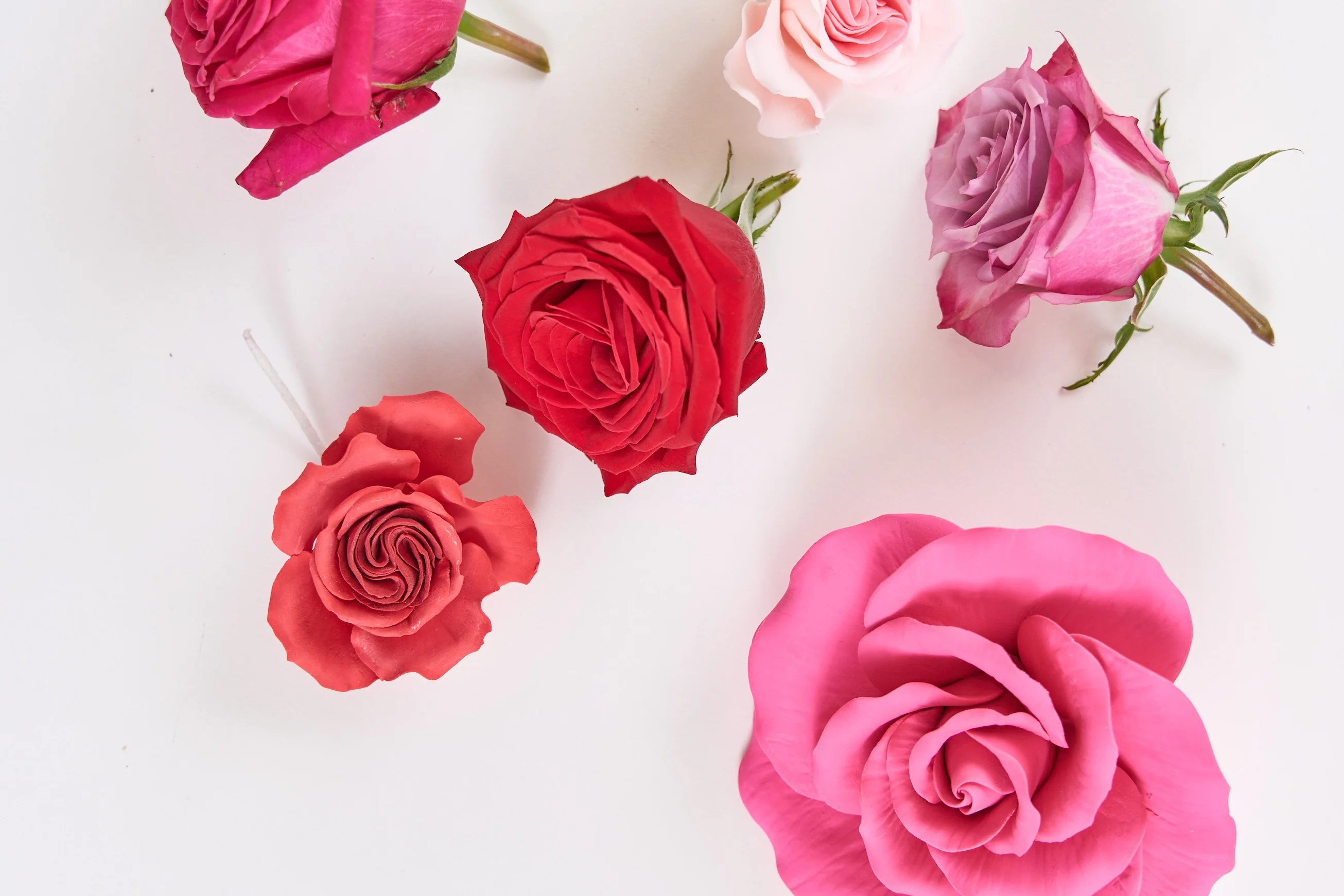 Sugar Flowers vs. Real Flowers Cake Muse®