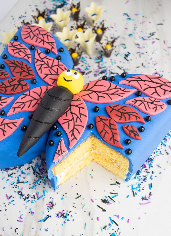 How to Make Butterfly Cake {Recipe + Tutorial} CakeWhiz