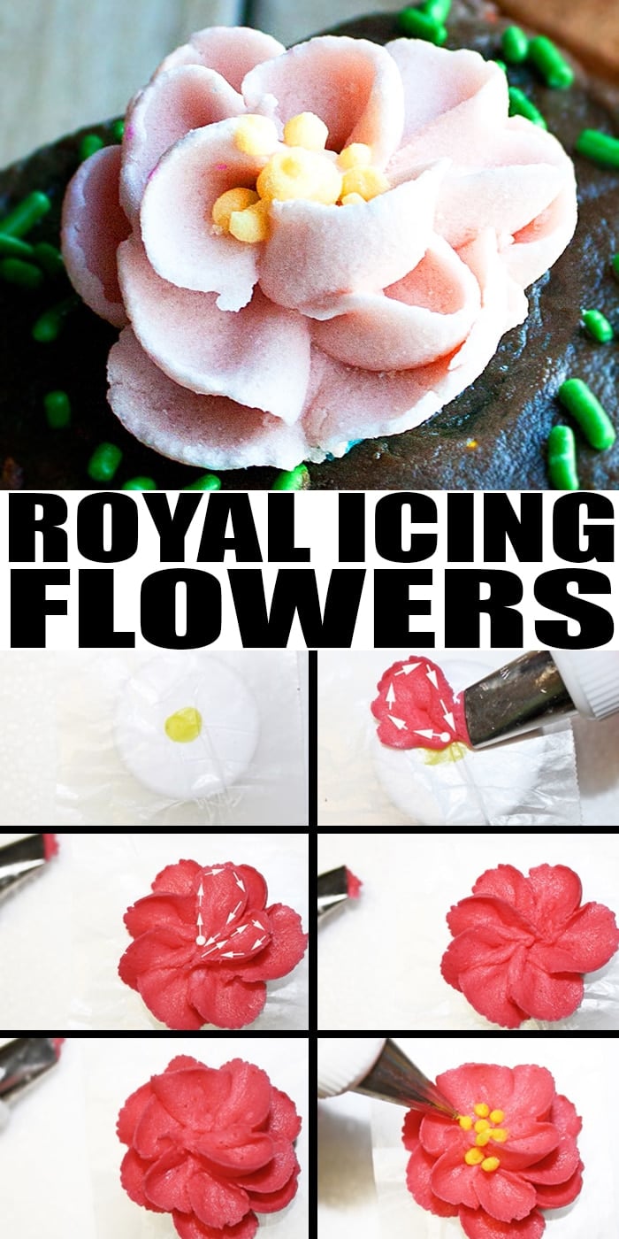 How to Make Royal Icing Flowers {Sugar Flowers} LaptrinhX / News