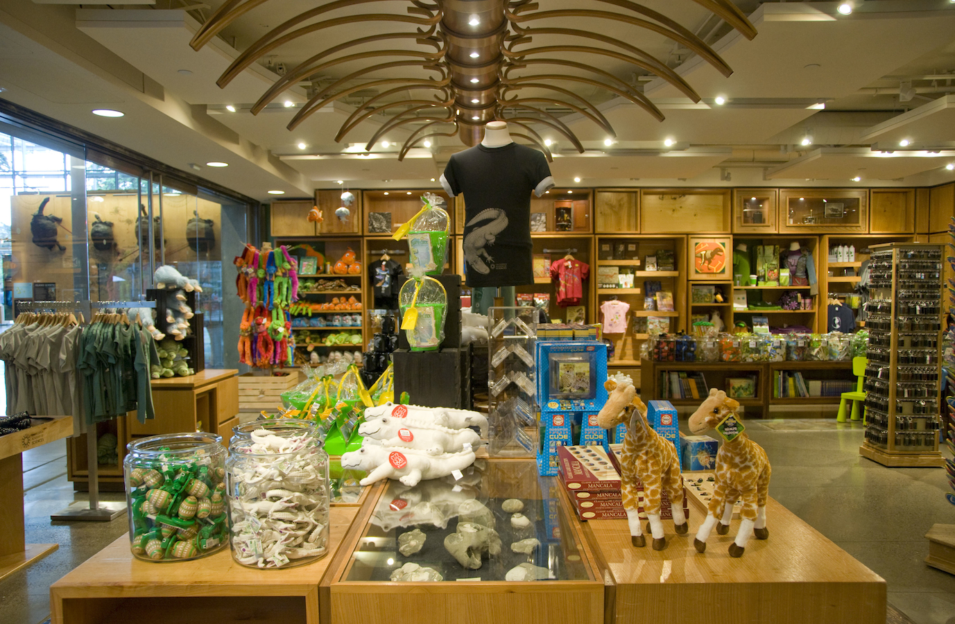 California Academy of Sciences Gift Shops and Souvenirs California Academy of Sciences Gift Shops and Souvenirs