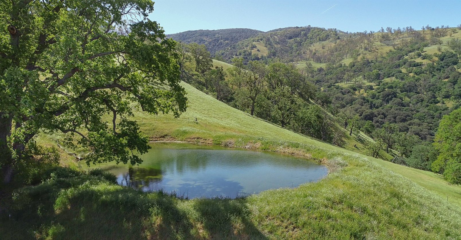 Tejon Ranch Land Steward Provides Housing, Jobs, Conservation