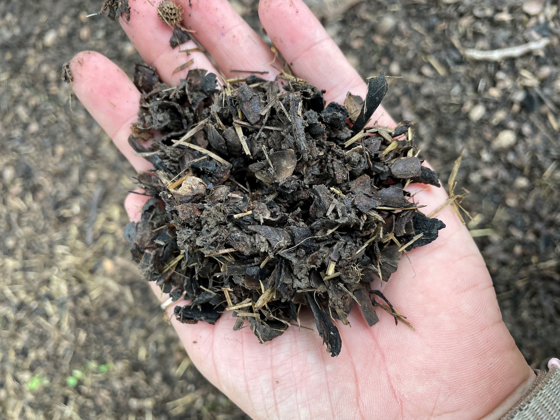 Farmer Fridays Leonard Loewen Farm CalCAN California Climate & Agriculture Network