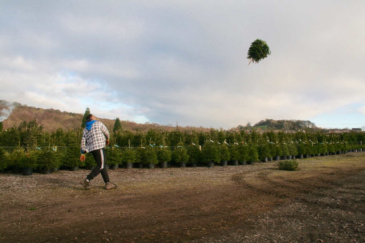 Keele Christmas Tree Throwing Championships