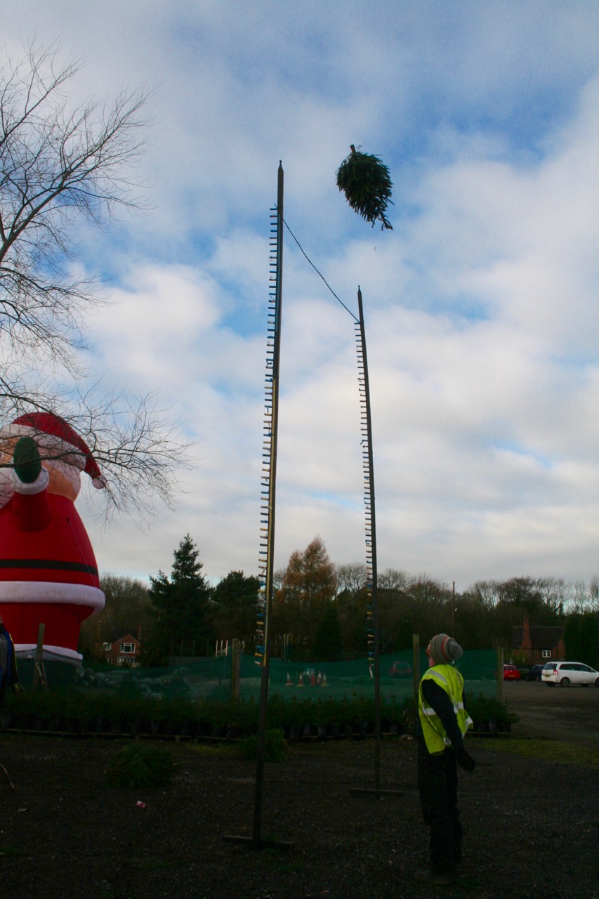 Keele Christmas Tree Throwing Championships