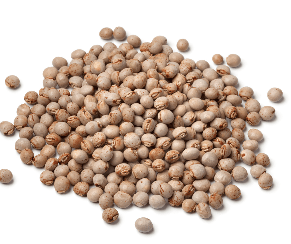 7 Steps To Growing Delicious Pigeon Peas In Your Hot Weather Garden