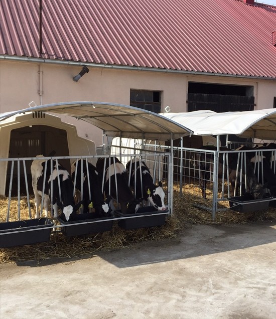 Group Hutches Calf Hutch