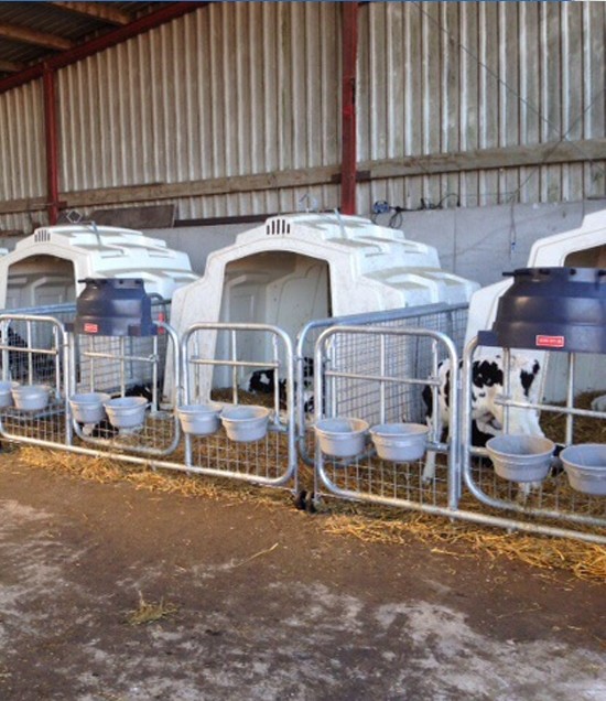 Group Hutches Calf Hutch
