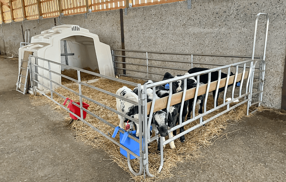 Group Hutches Calf Hutch