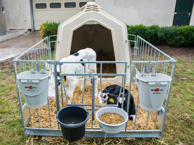 Housing Equipment Calf Igloo