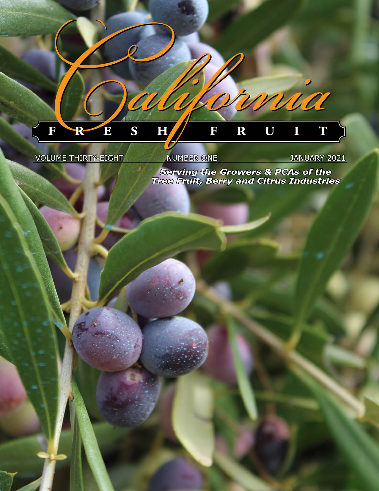 READ January 2021 Issue California Fresh Fruit Magazine