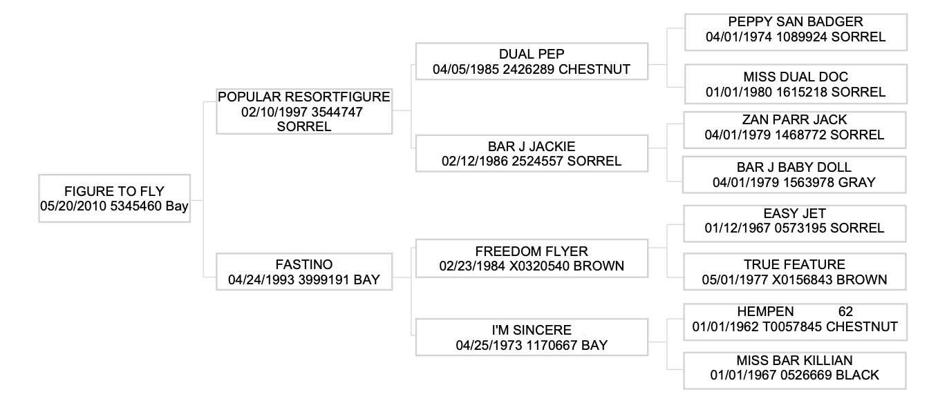 2024 AQHA Calf Roping Horse of the Year Shad Mayfield’s Figure To Fly