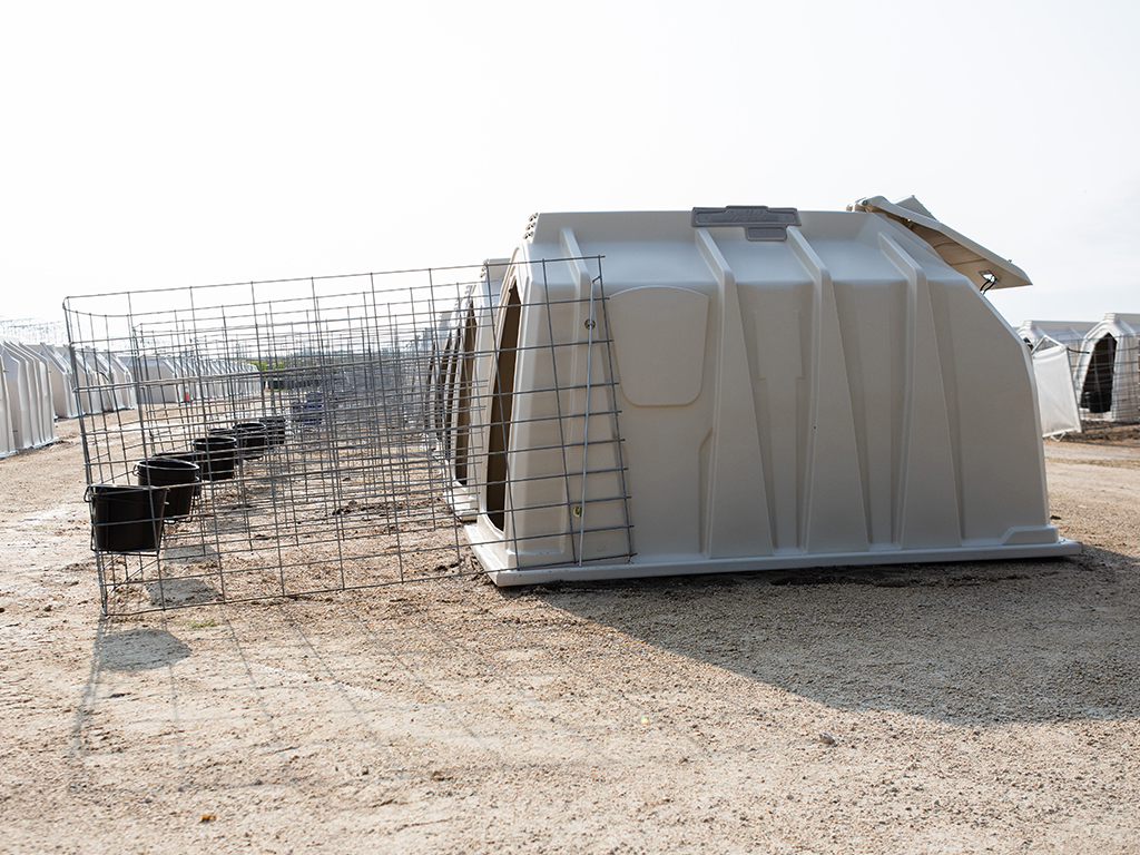 Dairy Calf Housing Hutches, Pens, & Fencing CalfTel