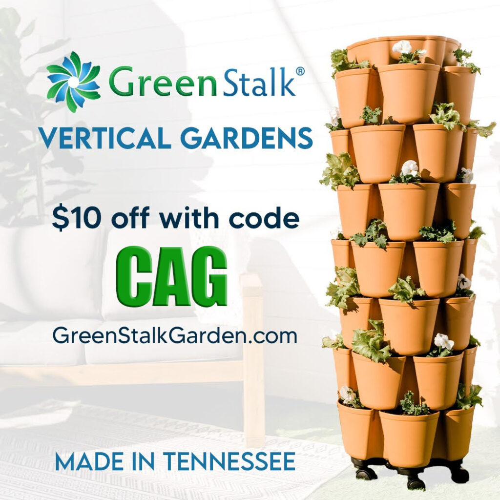 Growing 42 Onions/25 lbs in 2sqft. space! California Gardening