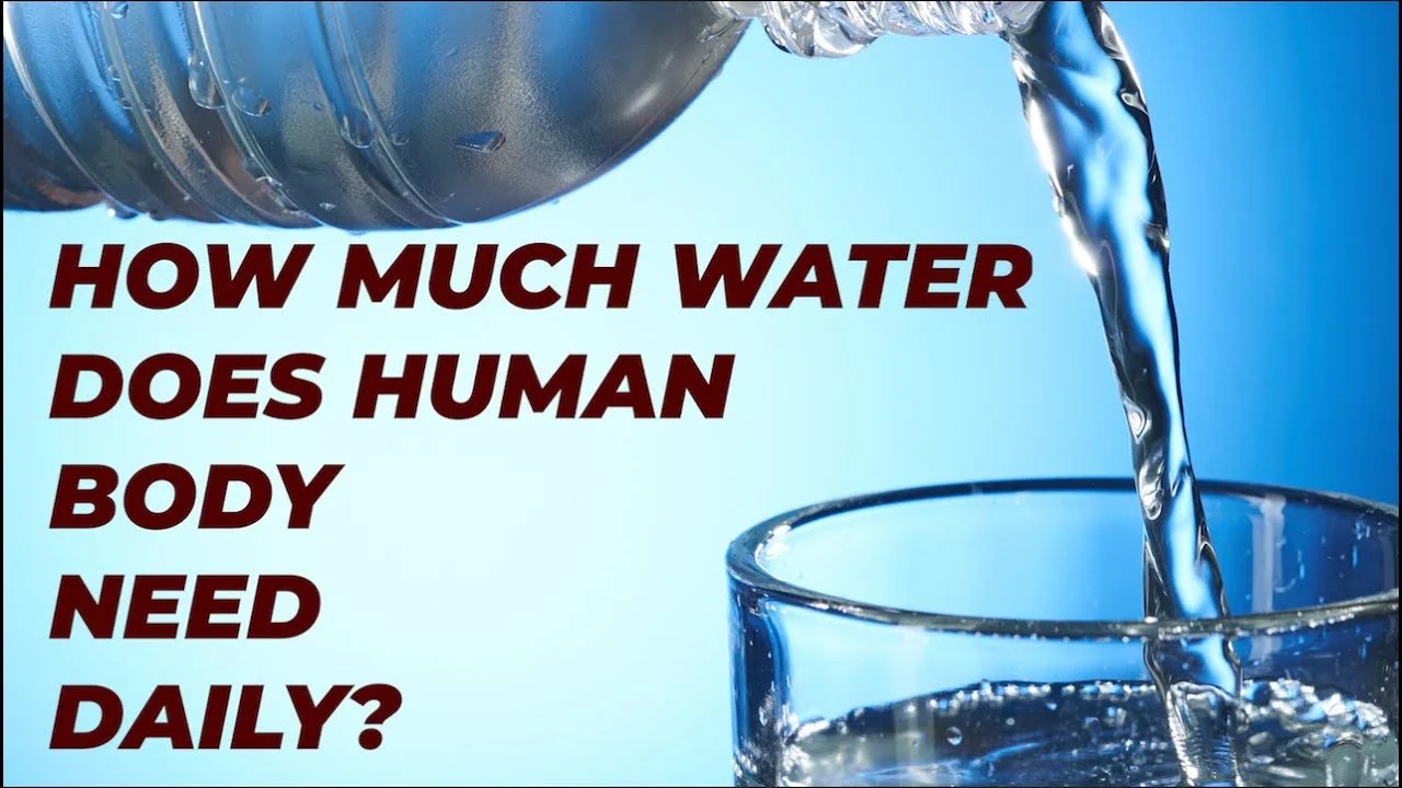 How much water does human body need daily Amazing Unknown facts RED 106.7FM Calgary