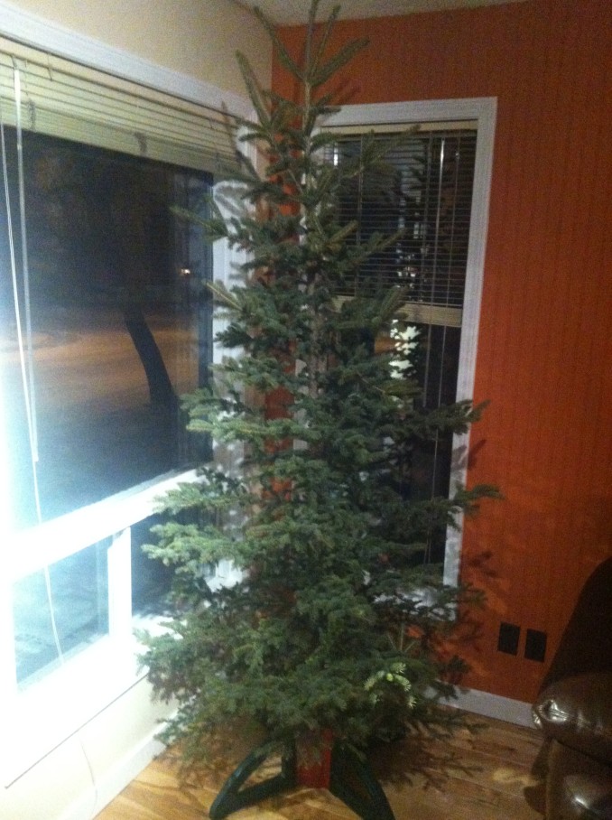 Feature Image Xmas Tree Calgary Guardian