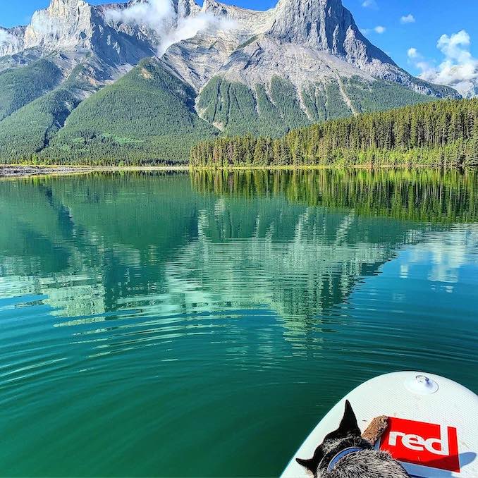 Wild Jobs Part Eighteen Paddleboard Guide