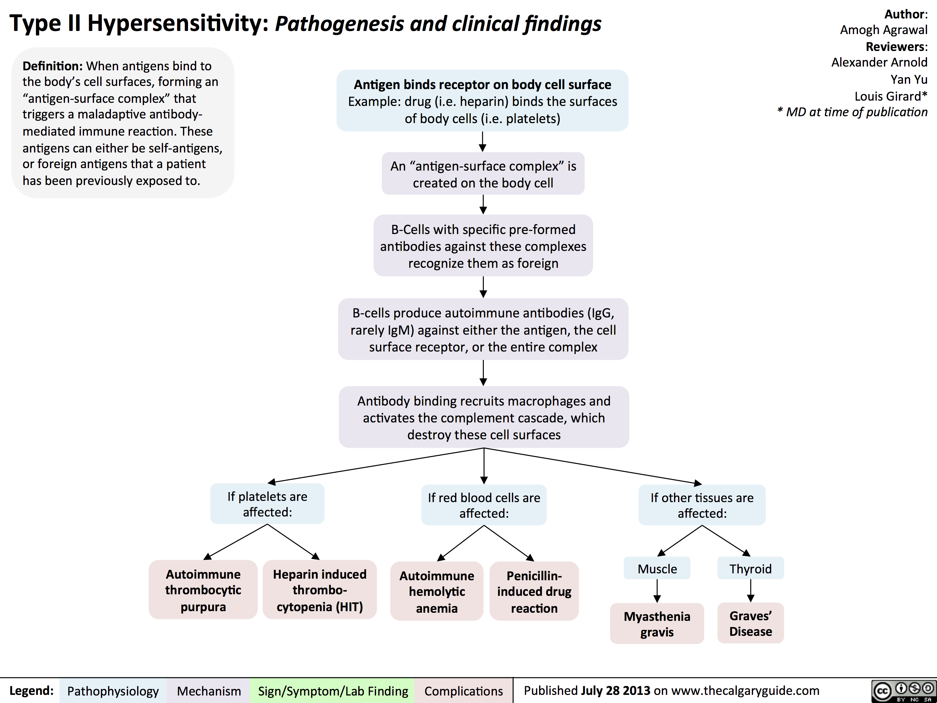 Type II Hypersensitivity Pathogenesis and clinical findings Calgary Guide