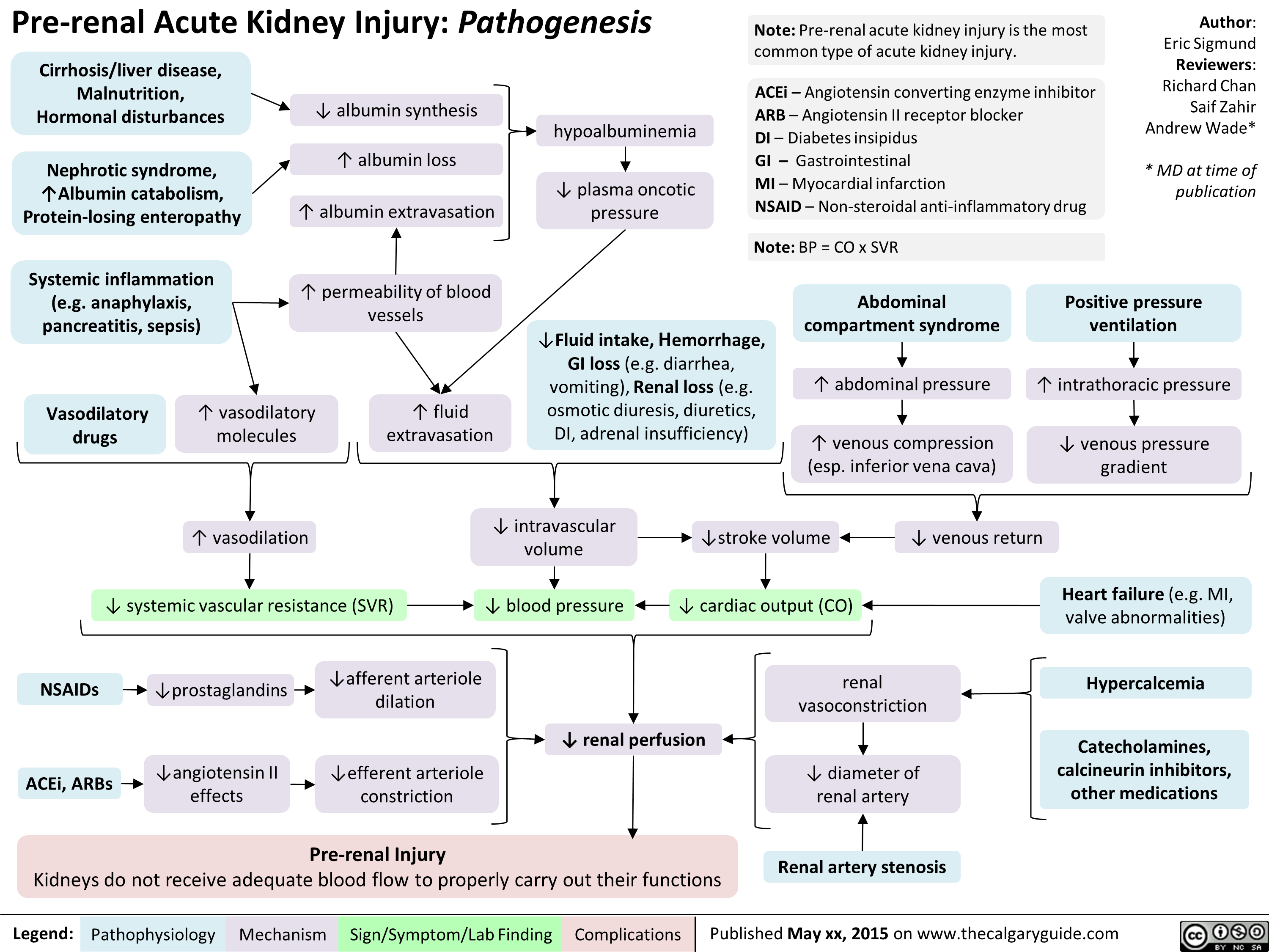 PreRenal Acute Kidney Injury Pathogenesis Calgary Guide