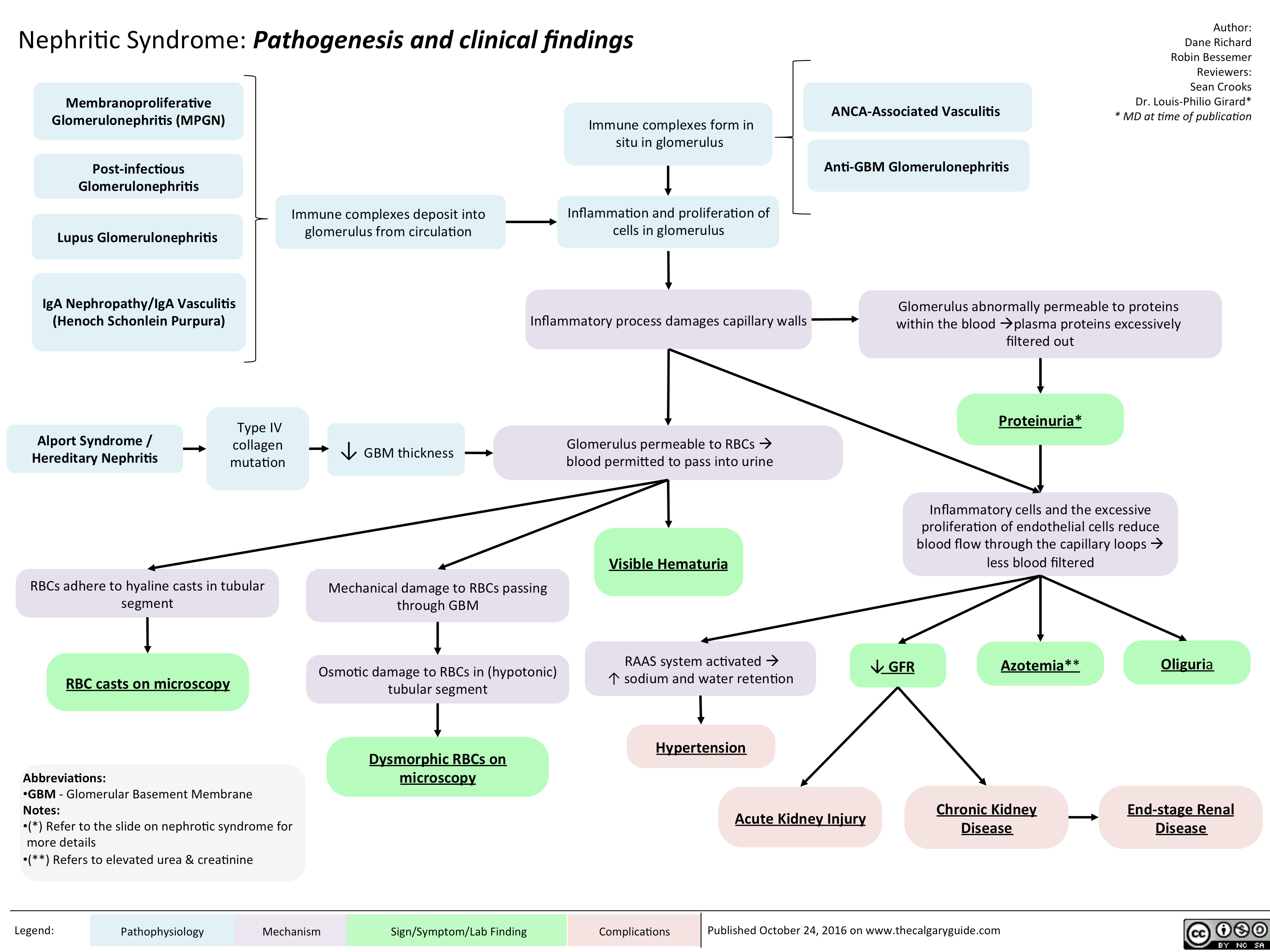 Nephritic Syndrome Pathogenesis and clinical findings Calgary Guide