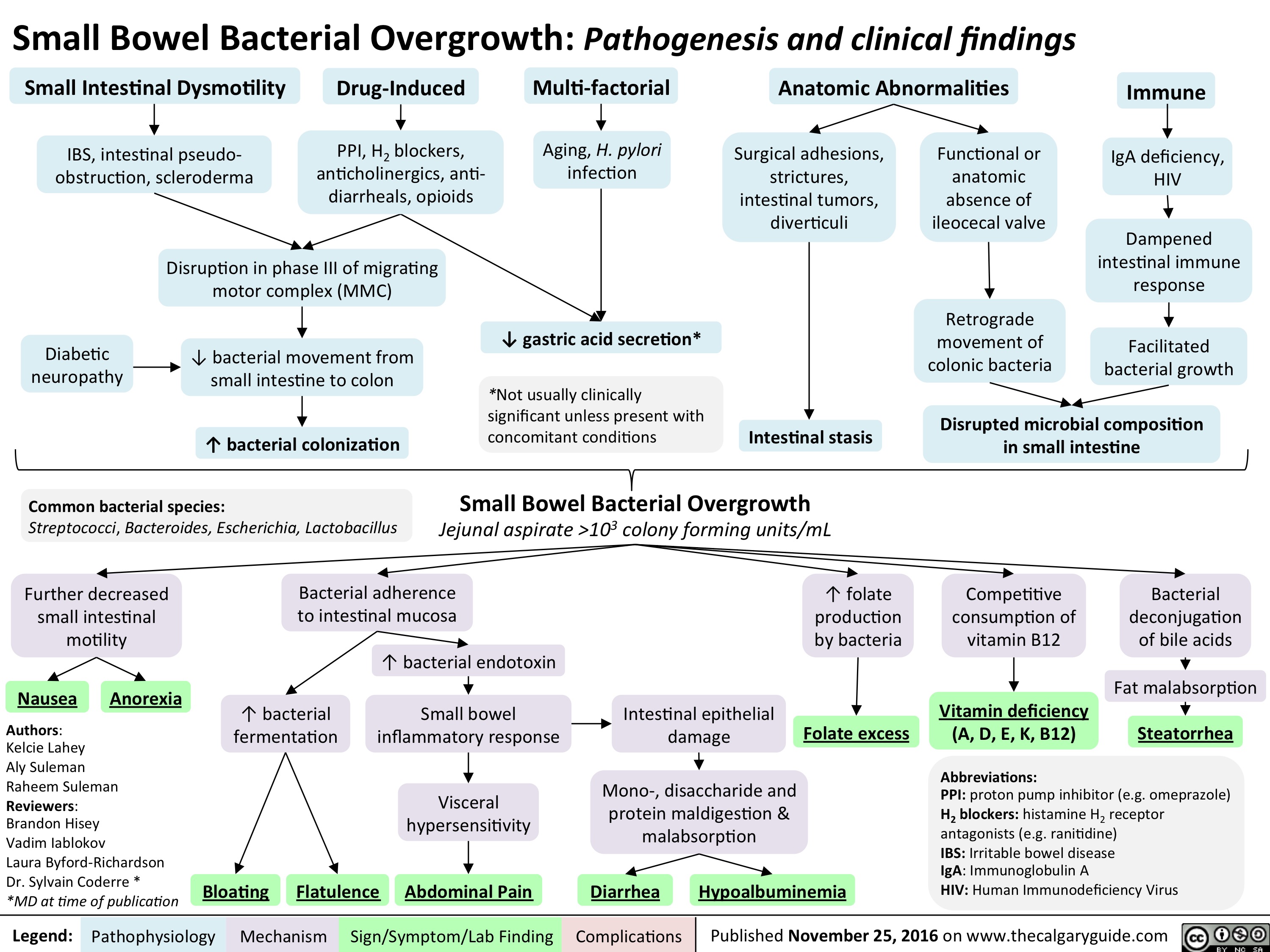 Small Bowel Bacterial Overgrowth Pathogenesis and clinical findings