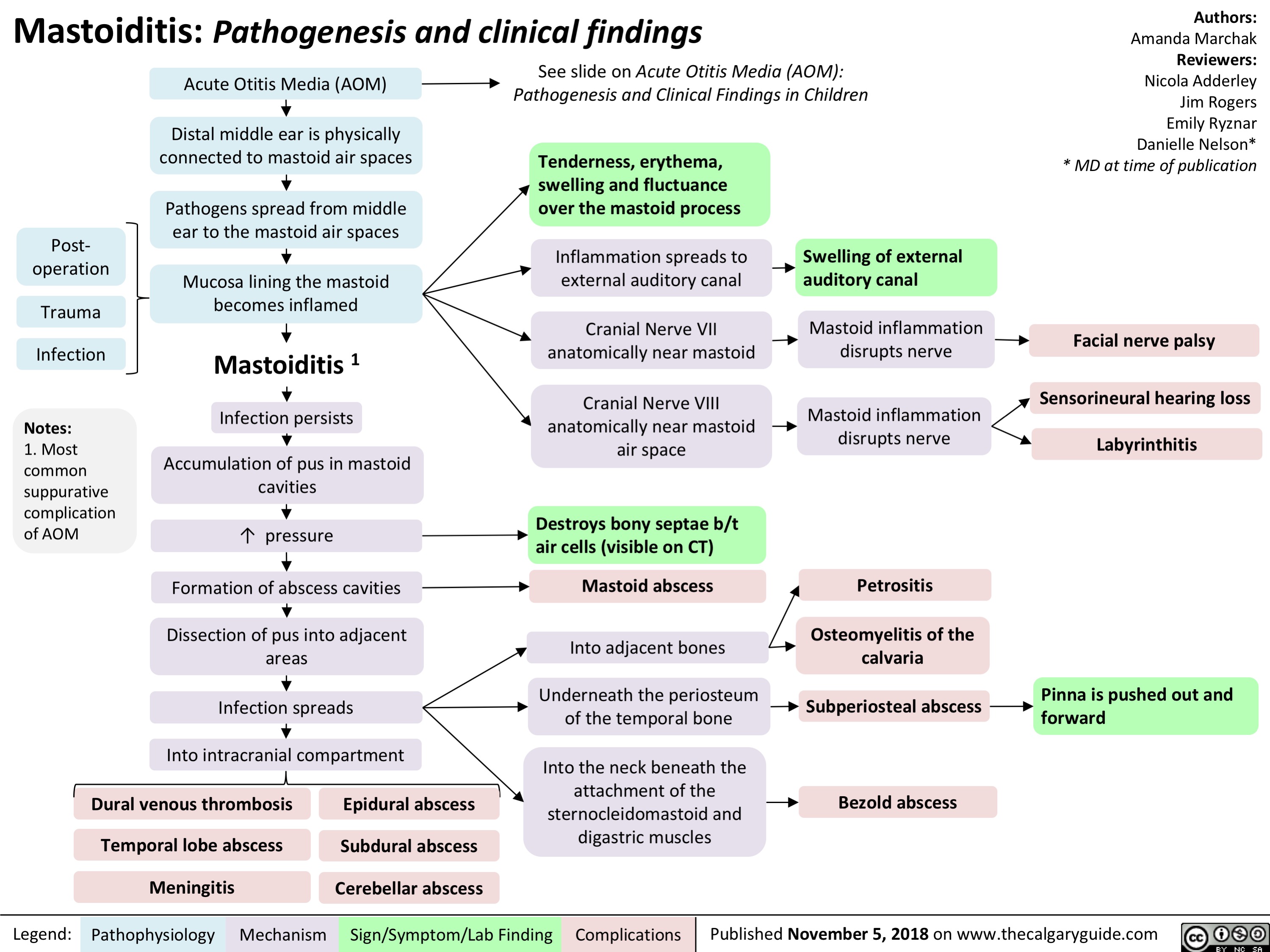 Mastoiditis Pathogenesis and clinical findings Calgary Guide