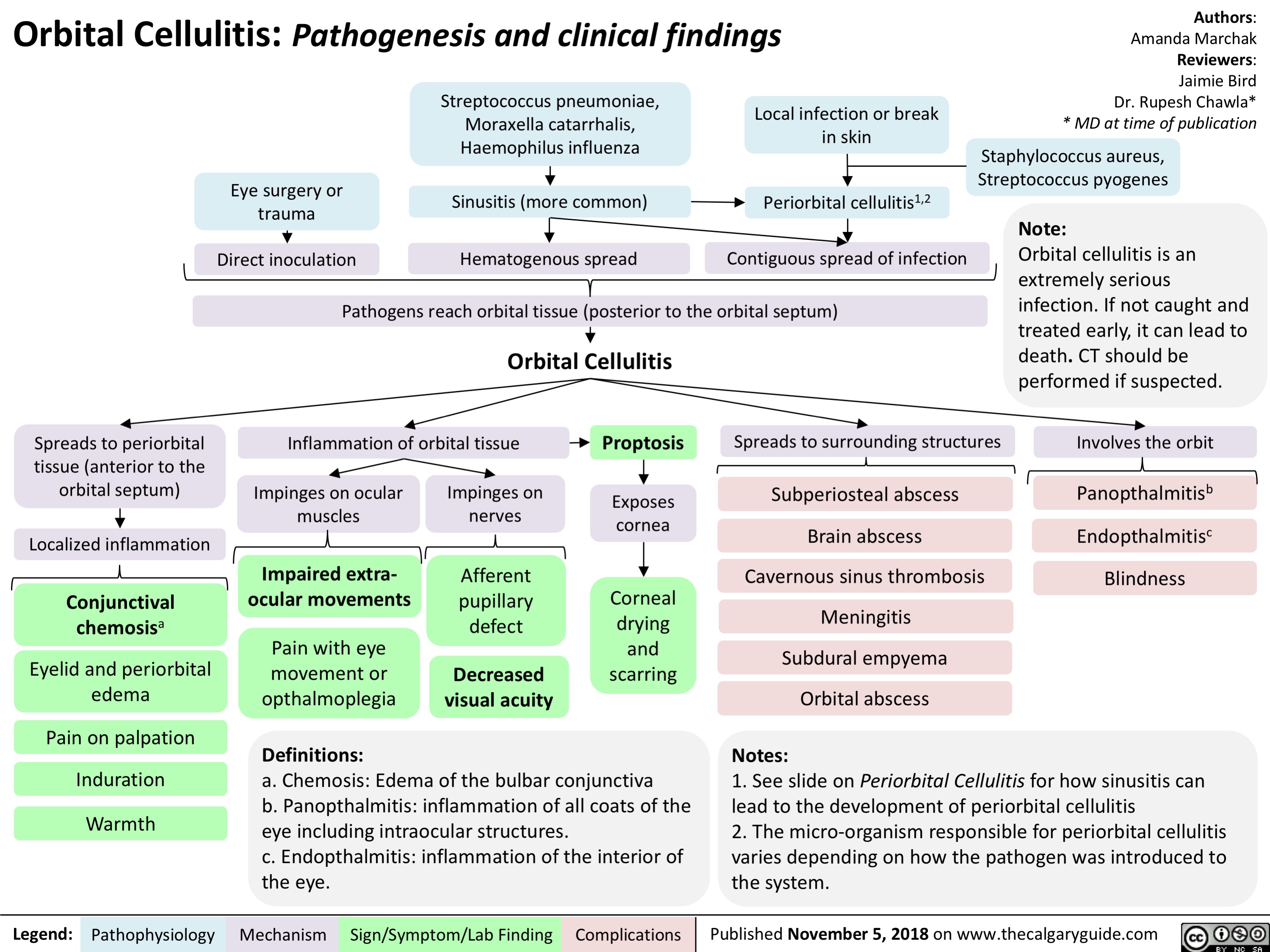 Orbital Cellulitis Pathogenesis and Clinical Findings Calgary Guide
