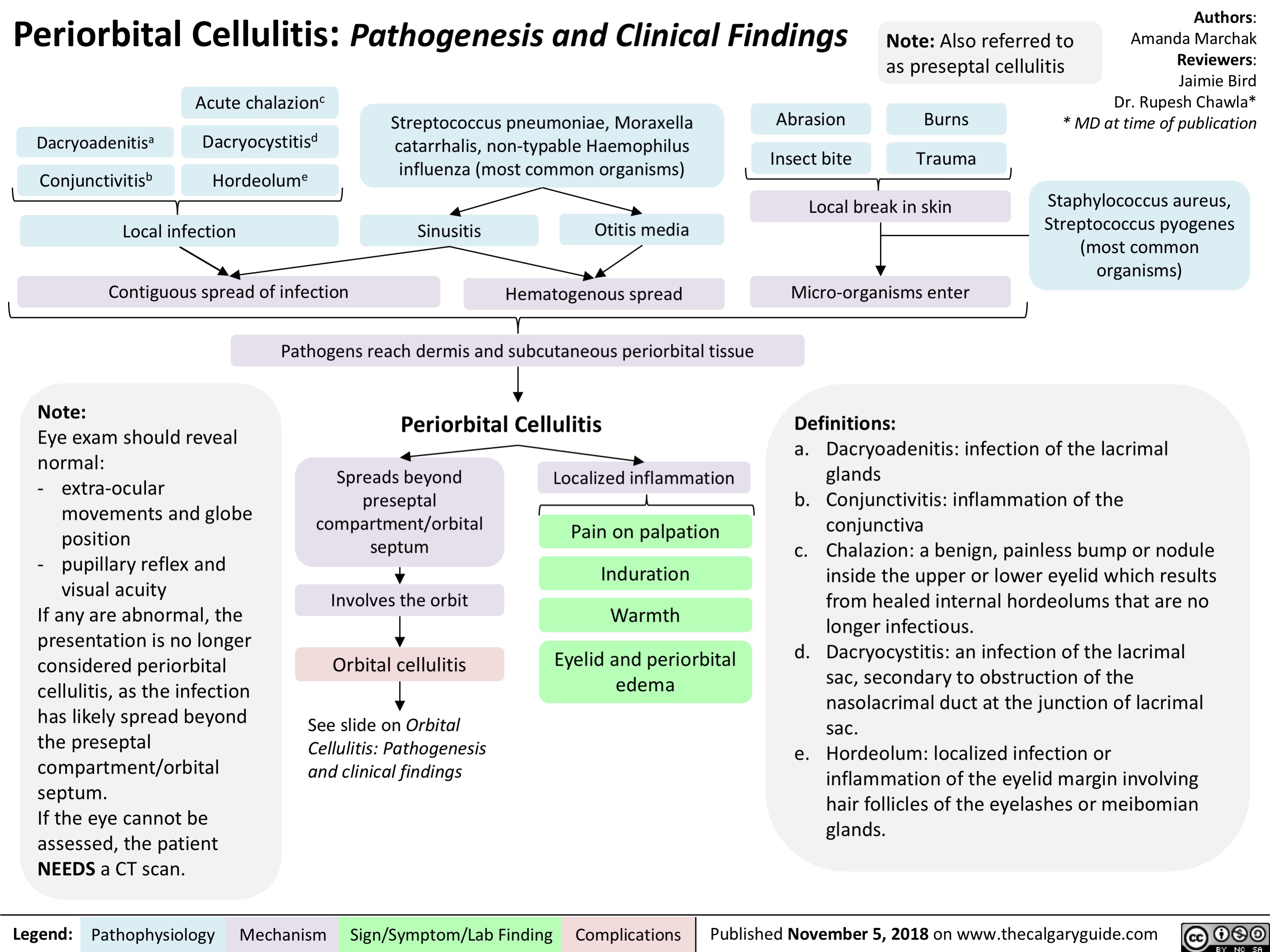 Periorbital Cellulitis Pathogenesis and Clinical Findings Calgary Guide