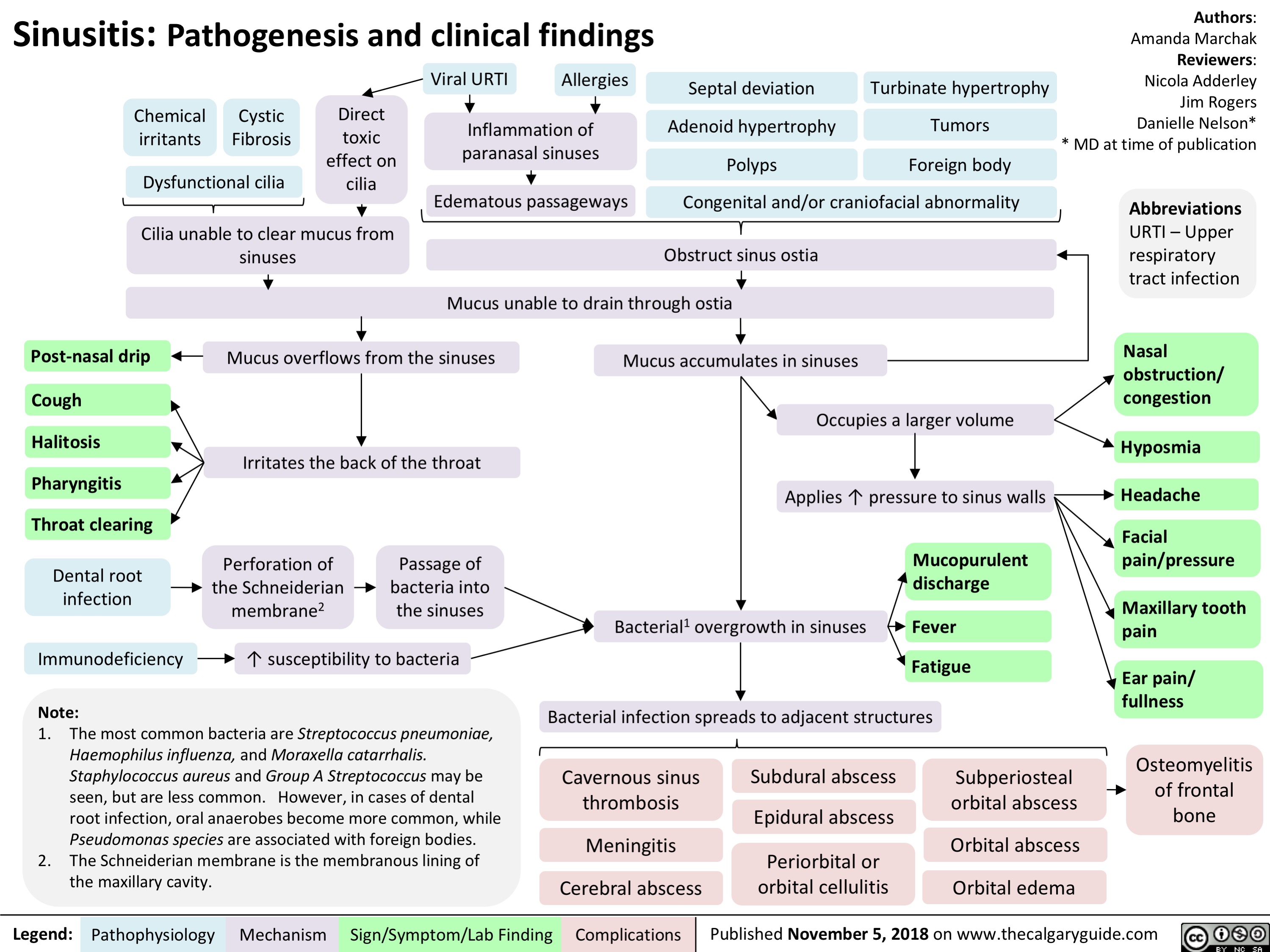Sinusitis Pathogenesis and clinical findings Calgary Guide