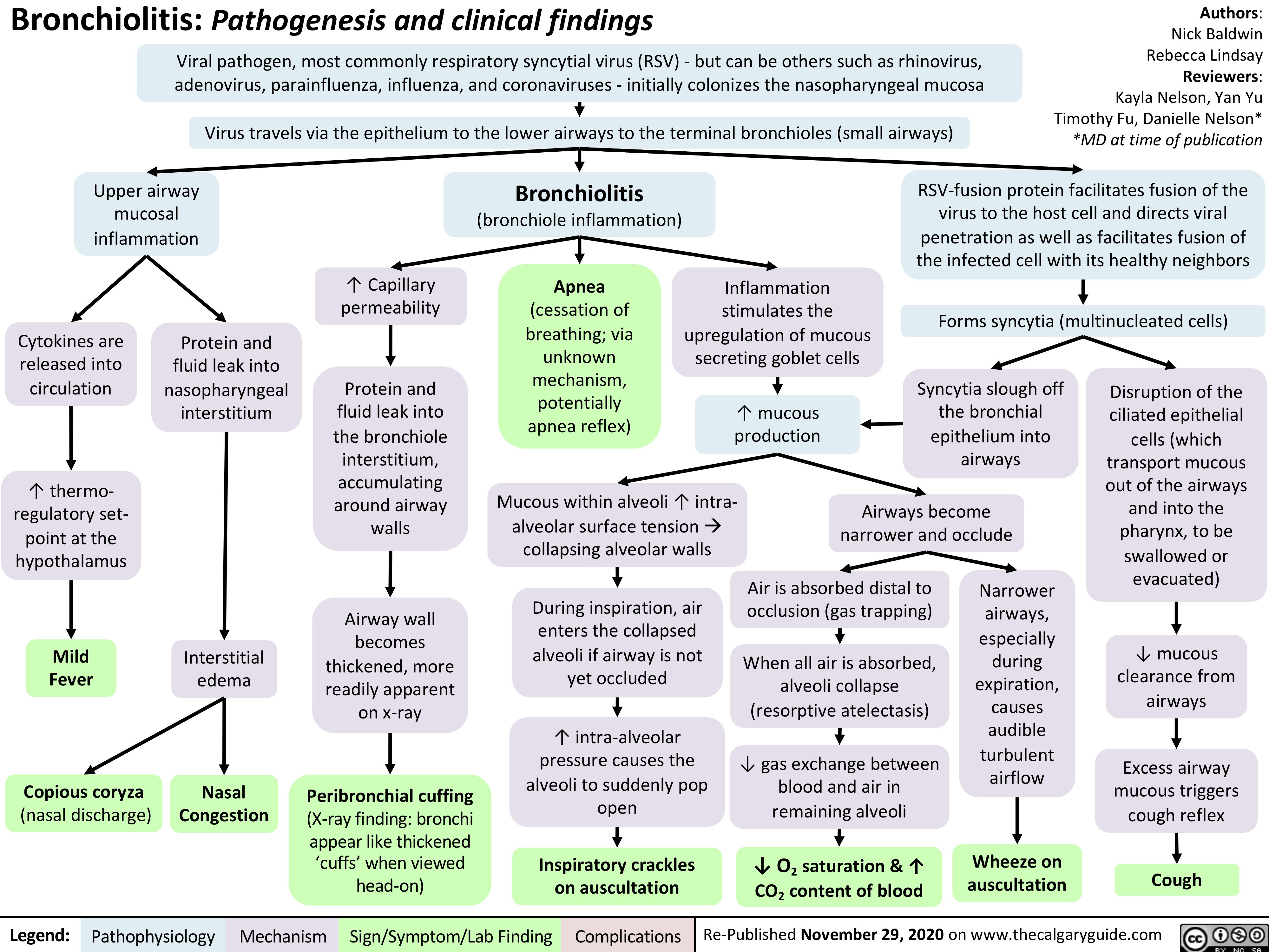 Bronchiolitisupdated Calgary Guide