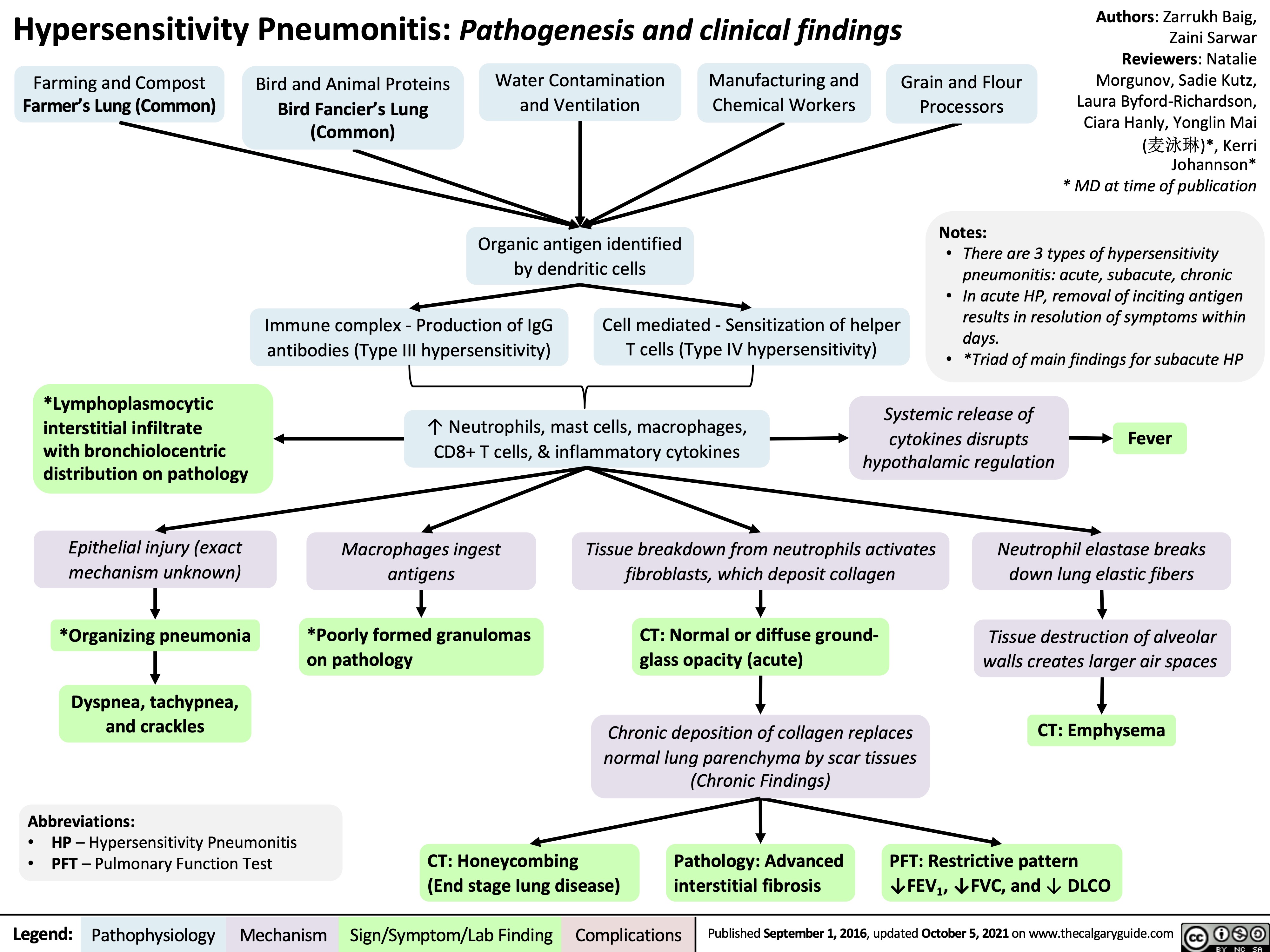 Hypersensitivity Pneumonitis Pathogenesis and clinical findings