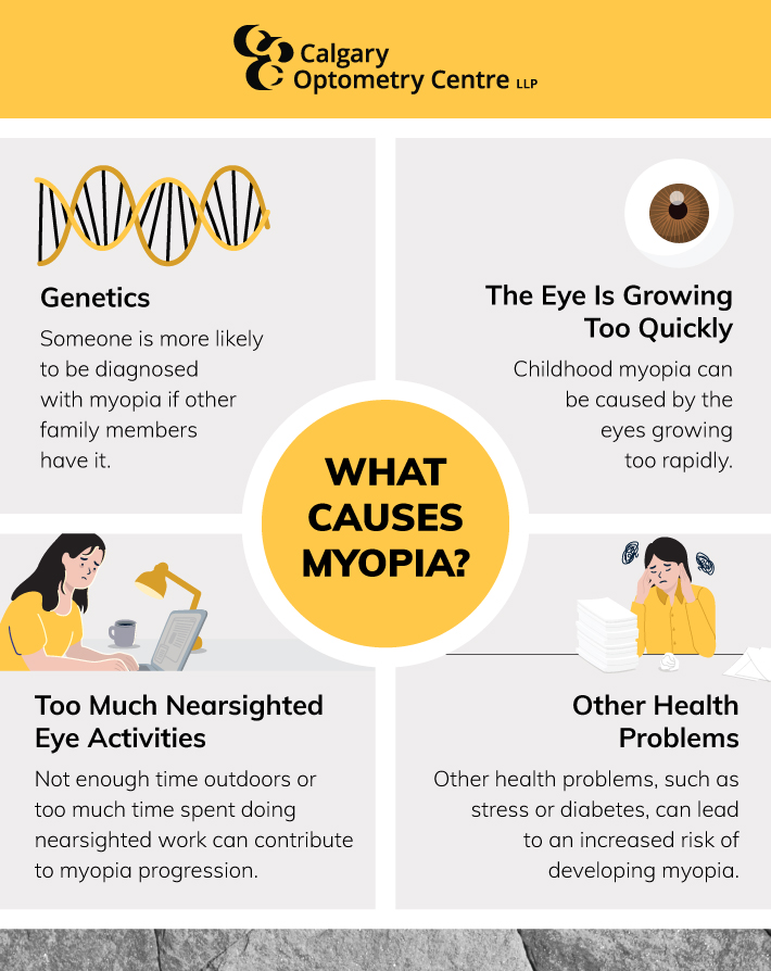 What is the main cause of myopia? Calgary Optometry