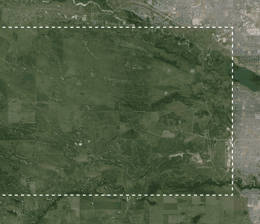The Rise and Fall of the Priddis Trail Part 1 Establishment