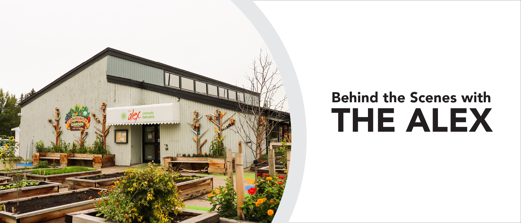 Behind the Scenes with The Alex United Way Calgary and Area