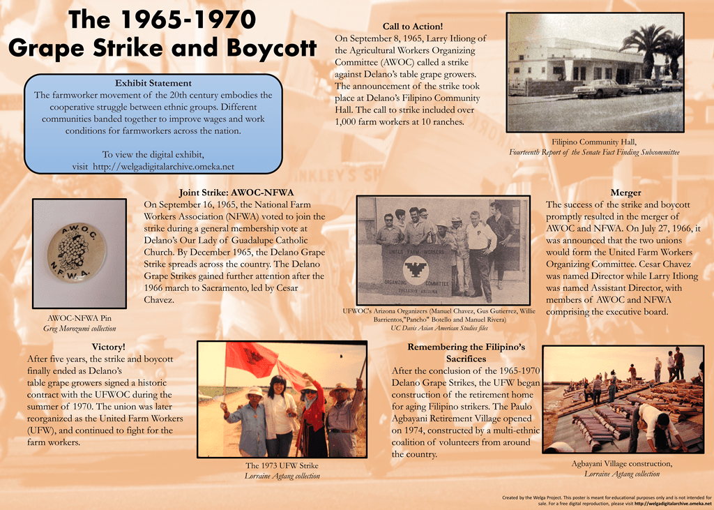 Grantee Feature Welga! Filipino American Stories of the Great Grape