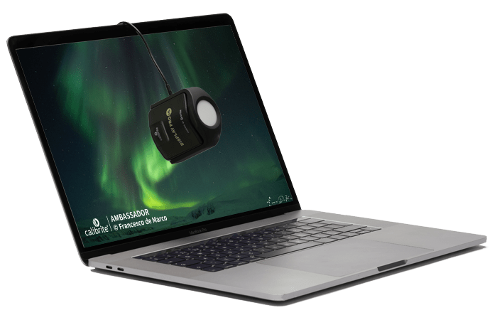 Display Pro HL - Calibrite - United States