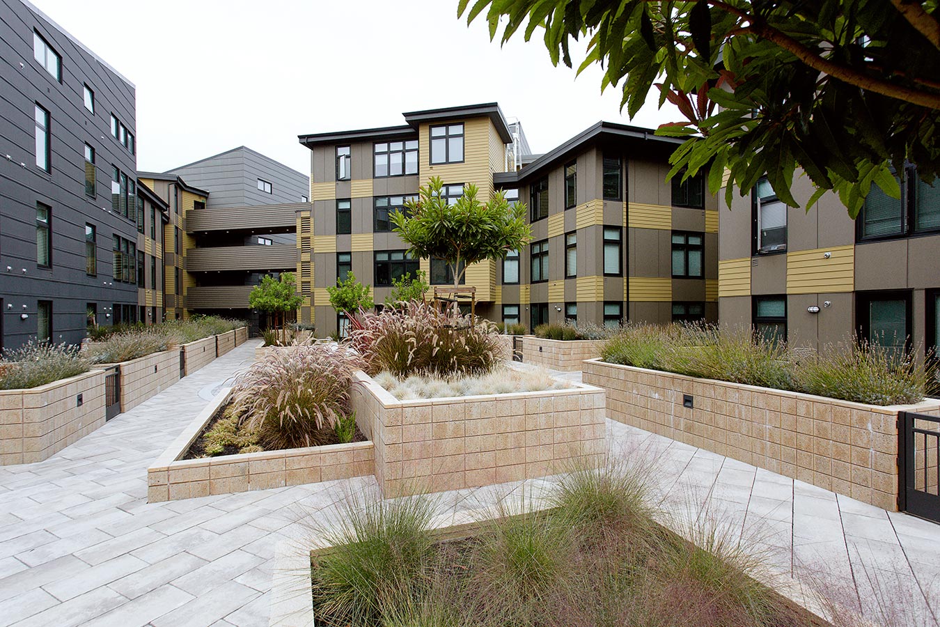 Civil Design Services for Adeline Lofts in Oakland, CA CaliChi