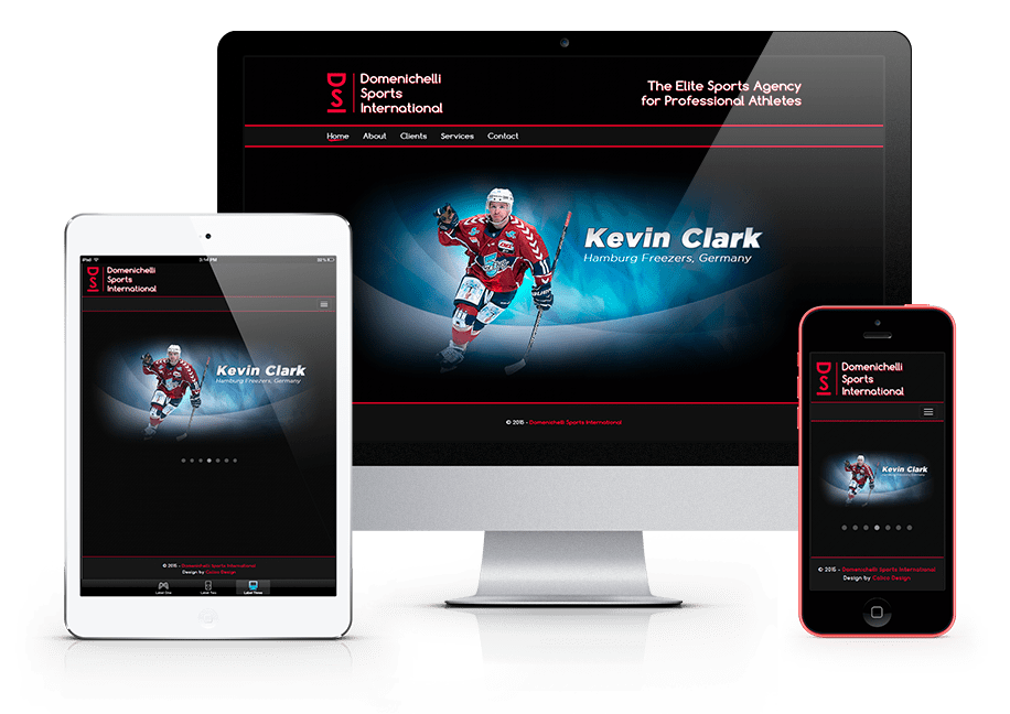 Sito DSI Calico Design