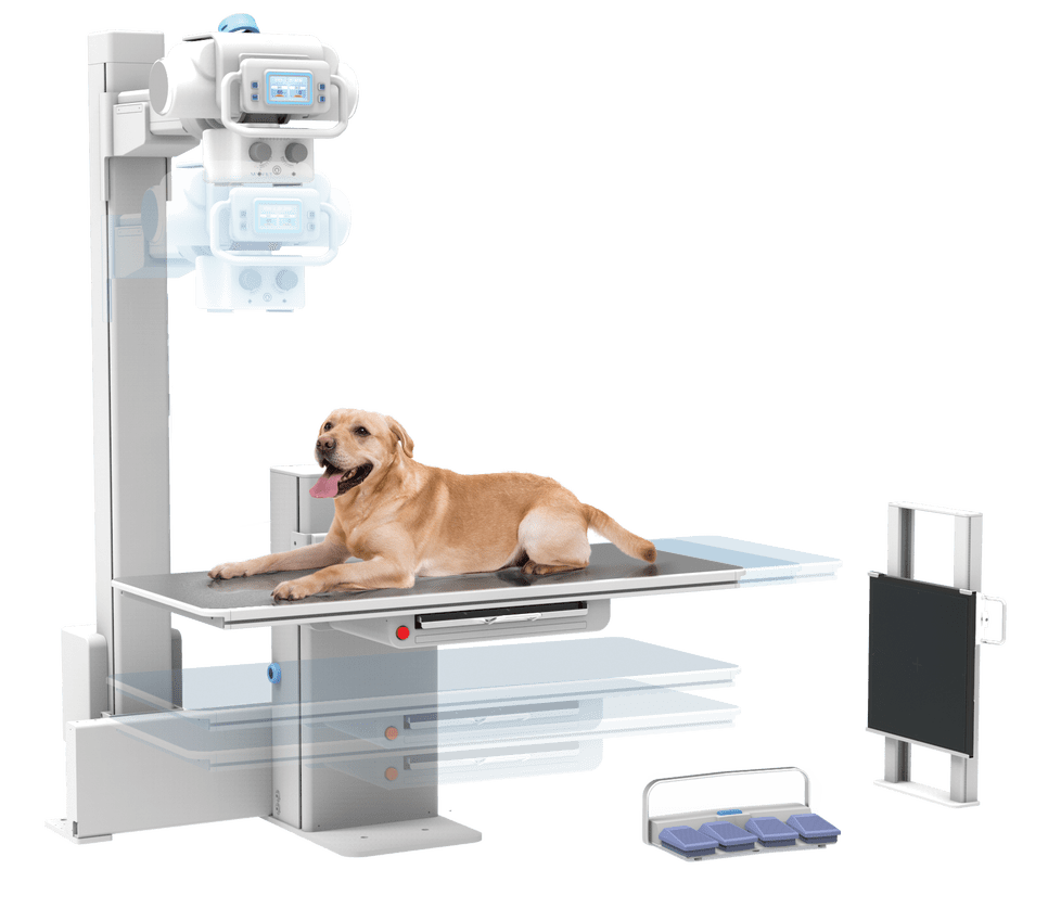 Home Calico Medical Incorporated